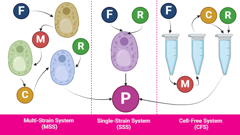 System comparison of SSS and MSS